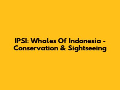 IPSI: Whales Of Indonesia - Conservation & Sightseeing