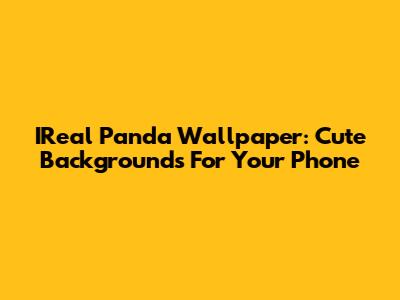 IReal Panda Wallpaper: Cute Backgrounds For Your Phone