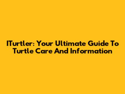 ITurtler: Your Ultimate Guide To Turtle Care And Information