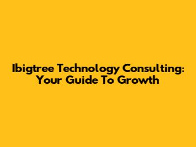 Ibigtree Technology Consulting: Your Guide To Growth