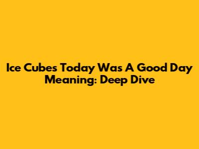 Ice Cube's 'Today Was A Good Day' Meaning: Deep Dive