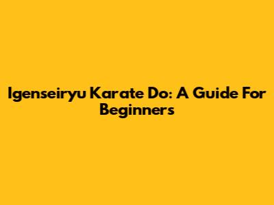 Igenseiryu Karate Do: A Guide For Beginners