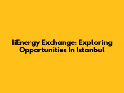 IiEnergy Exchange: Exploring Opportunities In Istanbul