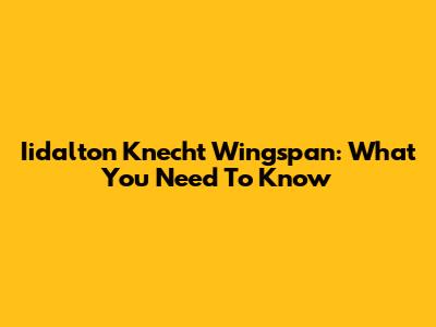 Iidalton Knecht Wingspan: What You Need To Know