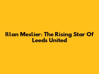 Illan Meslier: The Rising Star Of Leeds United
