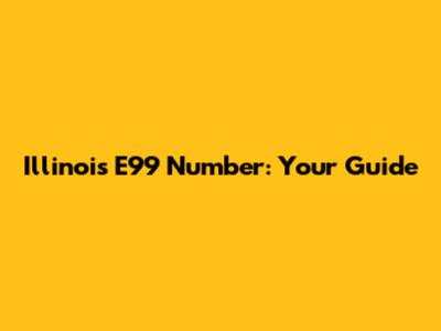 Illinois E99 Number: Your Guide