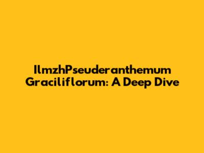 IlmzhPseuderanthemum Graciliflorum: A Deep Dive