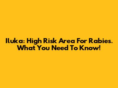 Iluka: High Risk Area For Rabies. What You Need To Know!