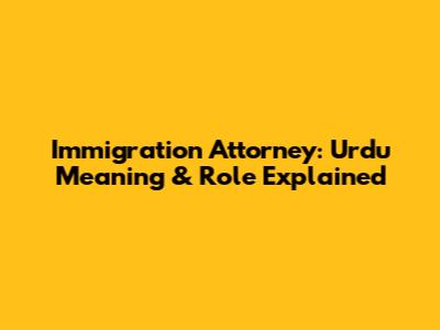 Immigration Attorney: Urdu Meaning & Role Explained