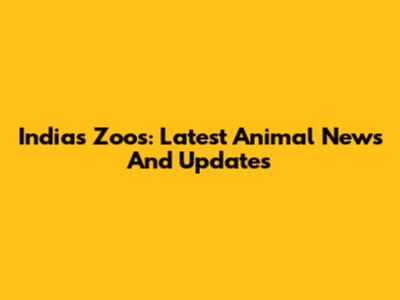 India's Zoos: Latest Animal News And Updates
