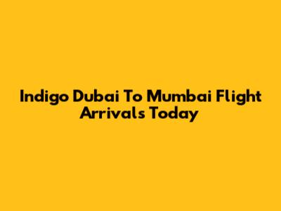 Indigo Dubai To Mumbai Flight Arrivals Today