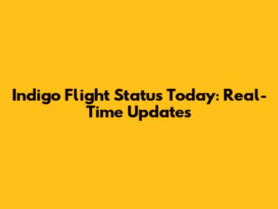 Indigo Flight Status Today: Real-Time Updates