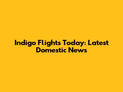 Indigo Flights Today: Latest Domestic News