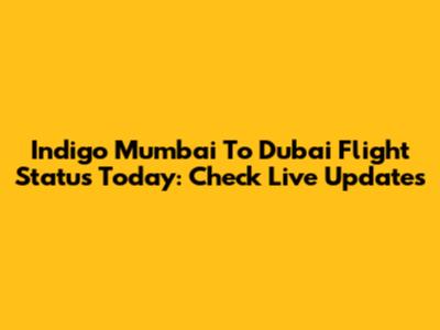 Indigo Mumbai To Dubai Flight Status Today: Check Live Updates