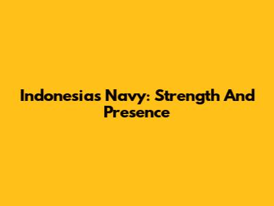 Indonesia's Navy: Strength And Presence