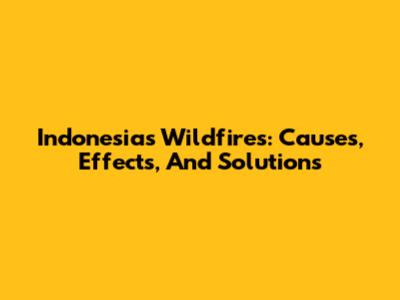 Indonesia's Wildfires: Causes, Effects, And Solutions