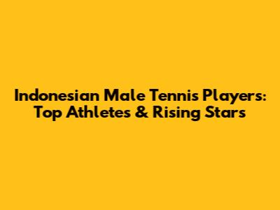 Indonesian Male Tennis Players: Top Athletes & Rising Stars