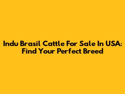 Indu Brasil Cattle For Sale In USA: Find Your Perfect Breed