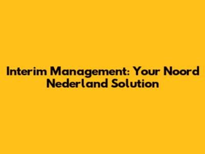 Interim Management: Your Noord Nederland Solution