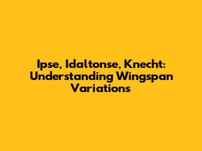 Ipse, Idaltonse, Knecht: Understanding Wingspan Variations
