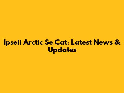 Ipseii Arctic Se Cat: Latest News & Updates