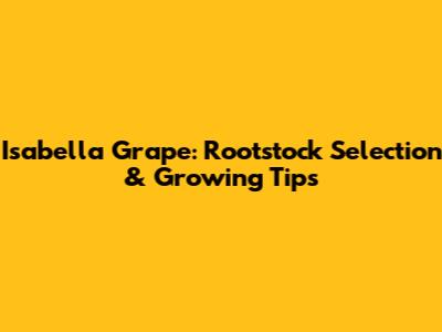 Isabella Grape: Rootstock Selection & Growing Tips