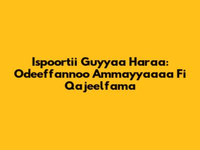 Ispoortii Guyyaa Har'aa: Odeeffannoo Ammayyaa'aa Fi Qajeelfama