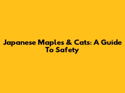 Japanese Maples & Cats: A Guide To Safety