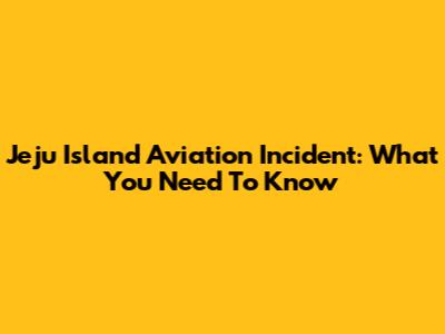 Jeju Island Aviation Incident: What You Need To Know