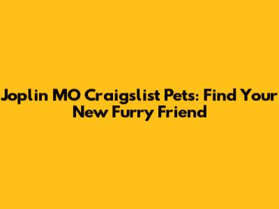 Joplin MO Craigslist Pets: Find Your New Furry Friend