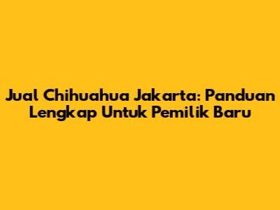 Jual Chihuahua Jakarta: Panduan Lengkap Untuk Pemilik Baru
