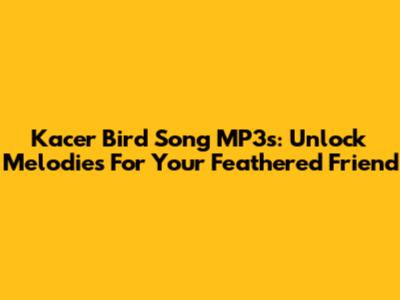Kacer Bird Song MP3s: Unlock Melodies For Your Feathered Friend