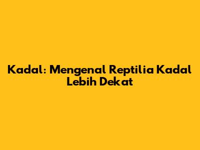 Kadal: Mengenal Reptilia Kadal Lebih Dekat