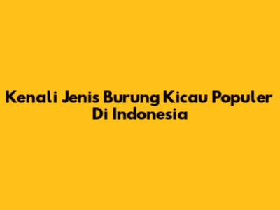 Kenali Jenis Burung Kicau Populer Di Indonesia