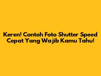 Keren! Contoh Foto Shutter Speed Cepat Yang Wajib Kamu Tahu!