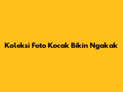 Koleksi Foto Kocak Bikin Ngakak