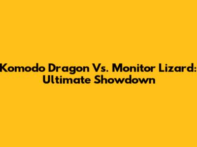 Komodo Dragon Vs. Monitor Lizard: Ultimate Showdown