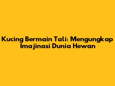 Kucing Bermain Tali: Mengungkap Imajinasi Dunia Hewan
