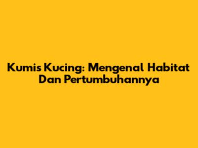 Kumis Kucing: Mengenal Habitat Dan Pertumbuhannya