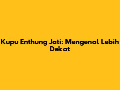 Kupu Enthung Jati: Mengenal Lebih Dekat