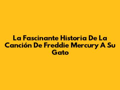 La Fascinante Historia De La Canción De Freddie Mercury A Su Gato