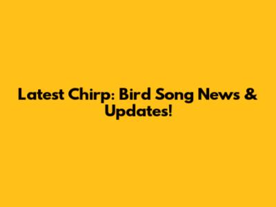 Latest Chirp: Bird Song News & Updates!
