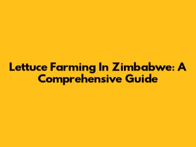 Lettuce Farming In Zimbabwe: A Comprehensive Guide
