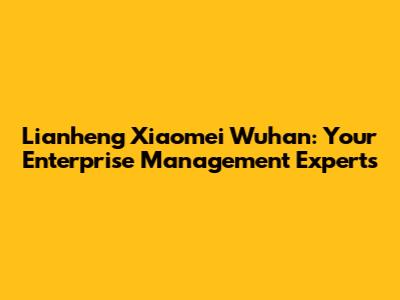 Lianheng Xiaomei Wuhan: Your Enterprise Management Experts