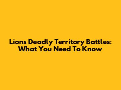 Lions' Deadly Territory Battles: What You Need To Know