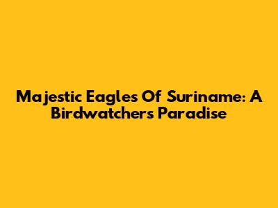 Majestic Eagles Of Suriname: A Birdwatcher's Paradise