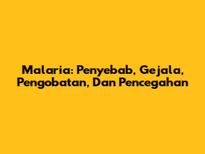 Malaria: Penyebab, Gejala, Pengobatan, Dan Pencegahan