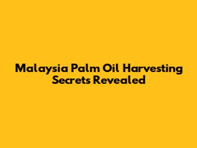 Malaysia Palm Oil Harvesting Secrets Revealed