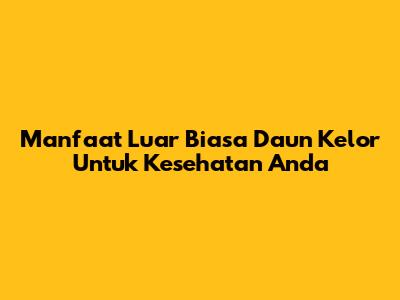 Manfaat Luar Biasa Daun Kelor Untuk Kesehatan Anda