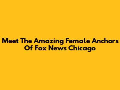 Meet The Amazing Female Anchors Of Fox News Chicago